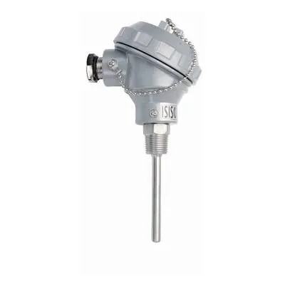 TRPT-231-8-250-1/2 - 250 mm PT-100 Kafalı Tip Termokupl