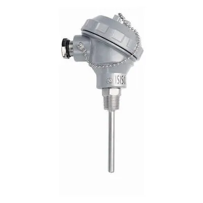 TRPT-231-8-300-1/2 - 300 mm PT-100 Kafalı Tip Termokupl