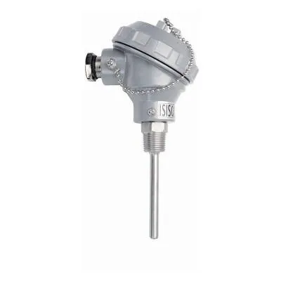 TRPT-231-8-400-1/2 - 400 mm PT-100 Kafalı Tip Termokupl