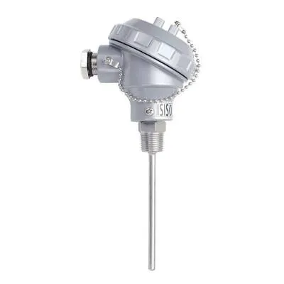 TRPT-231-6-200-1/2 - 200 mm PT-100 Kafalı Tip Termokupl