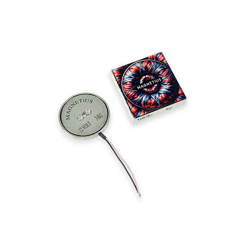 Magnetius 12V 3kg Elektromıknatıs - 50 mm çap