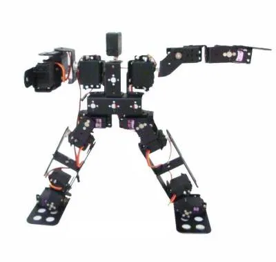 15 Eksenli İnsansı Robot - Humanoid Robot