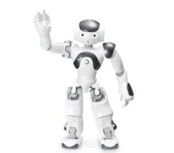 NAO V6 İnsansı Robot (Nao6) - Generative AI Destekli İnteraktif Humanoid