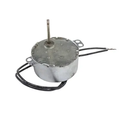TY-50 AC 220V 12/10 RPM 4W Senkron Motor