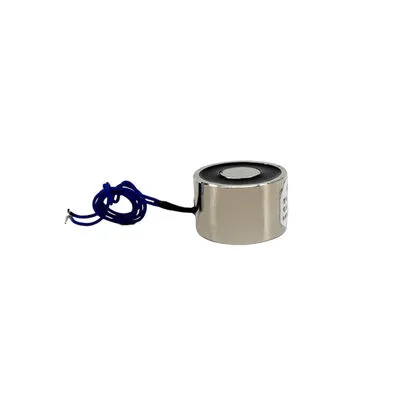 D40H 20mm 30KG 24V Elektromıknatıs