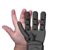 Seed Robotics RH6D Yetenekli Robot El (Çocuk Eli ile Eş Boyutlu) - Sağ