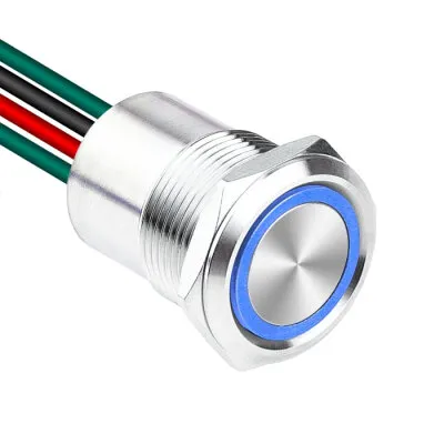 WD19D1-P2Z-E 19mm Düz Anahtarlı Işıklı Kablolu Metal Buton - Mavi