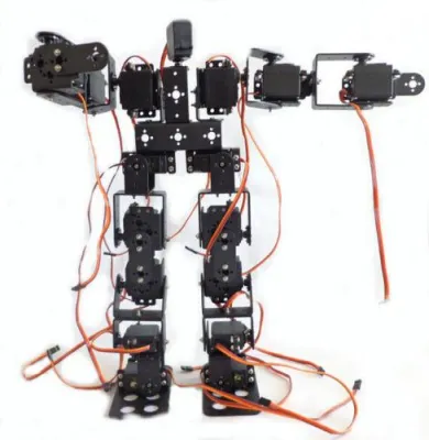 19 Eksenli İnsansı Robot - Humanoid Robot